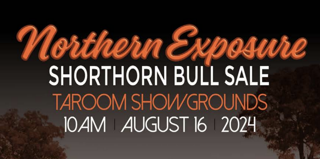 2024 Northern Exposure Shorthorn Bull Sale - Taroom Showgrounds, QLD